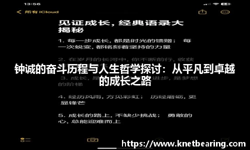 易游体育官网入口