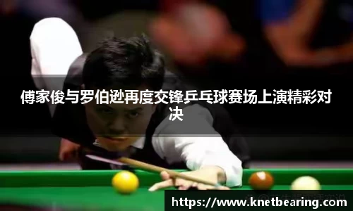 易游体育官网版